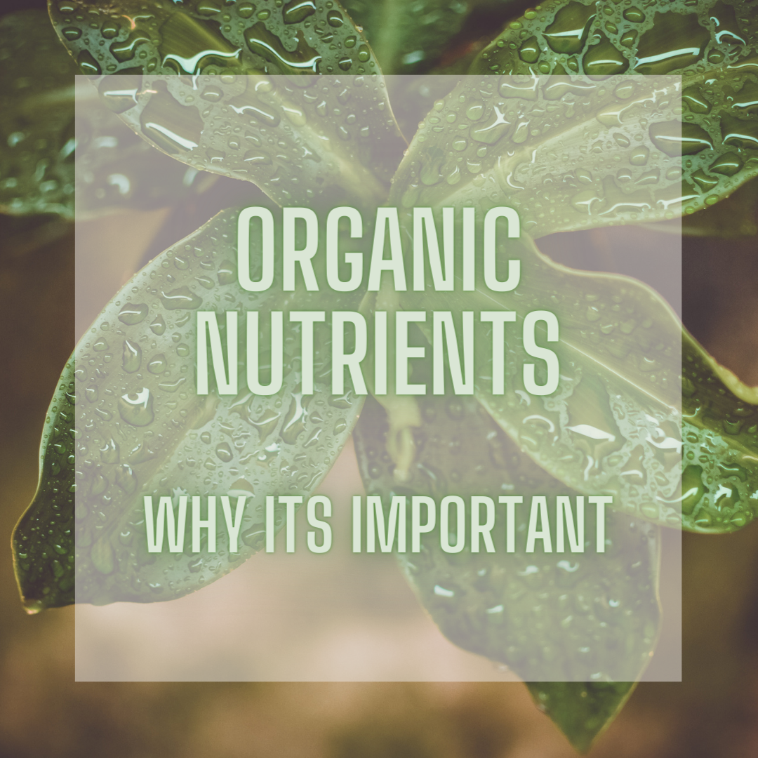 Why are organic nutrients so important for bioponic plant growth?