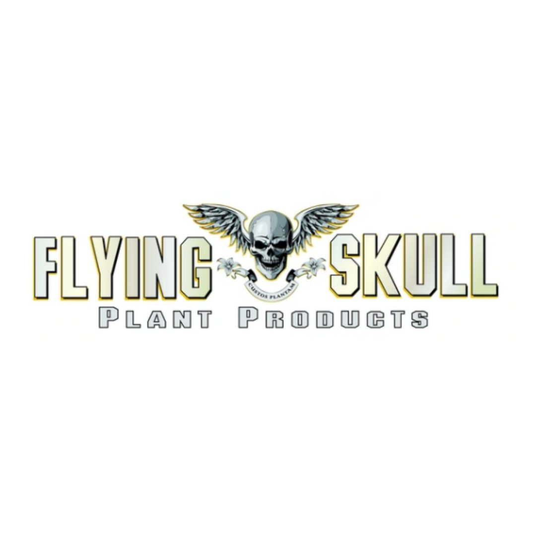 Flying Skull