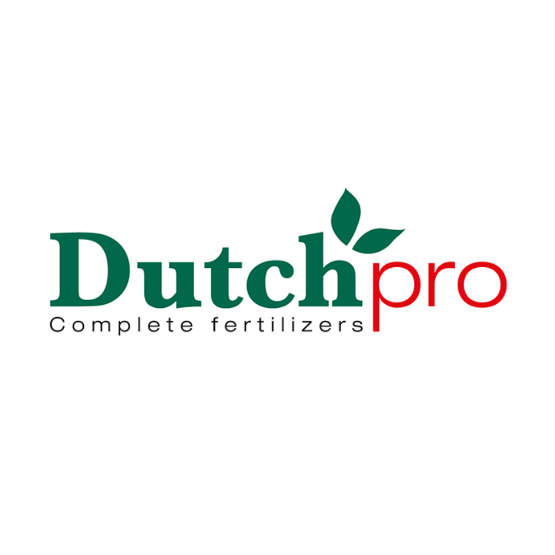 Dutch Pro