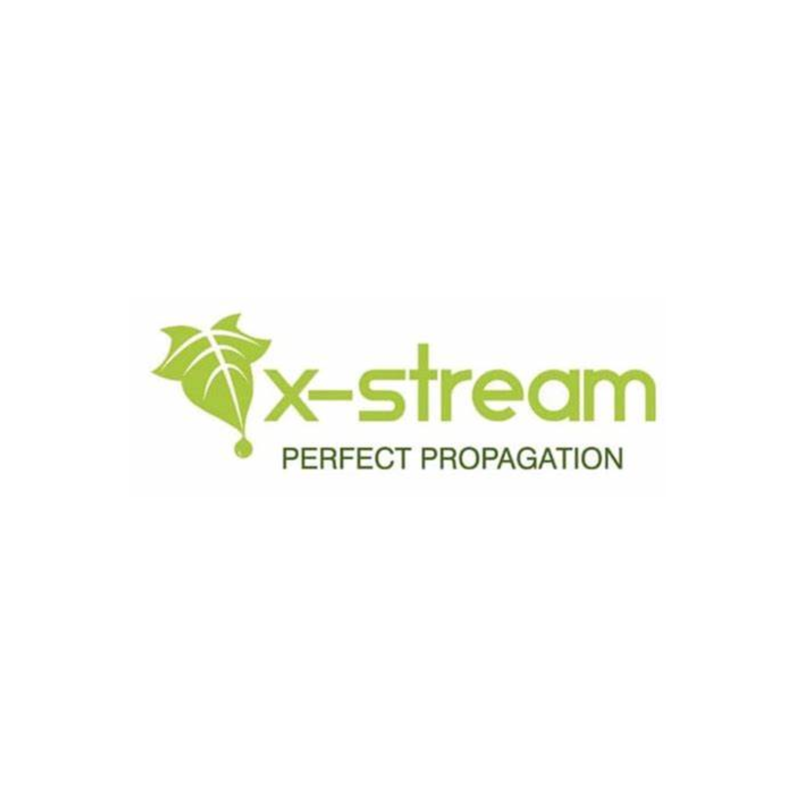 X-Stream