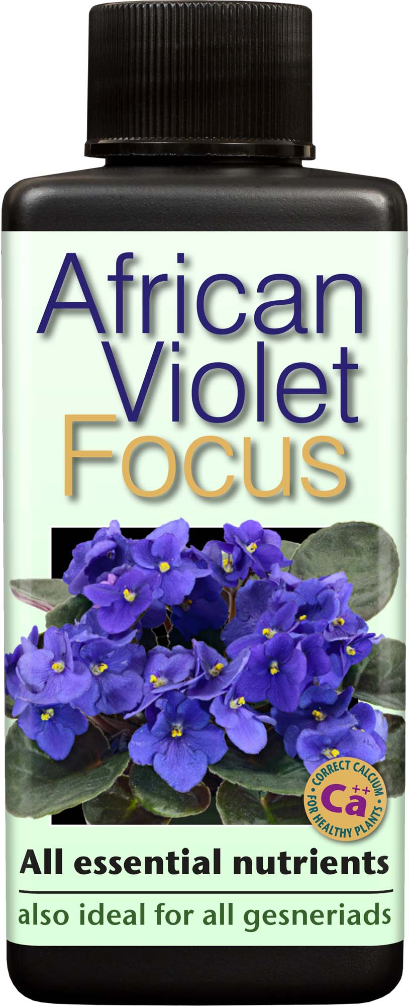 Growth Technology African Violet