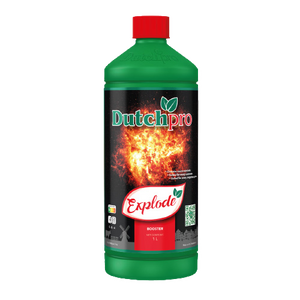 Dutchpro Explode Buds Booster | Ultimate Flowering PK Stimulator