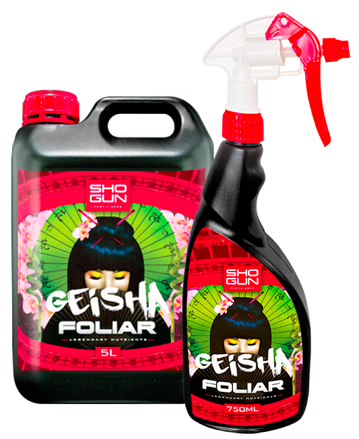 Shogun Geisha Foiler