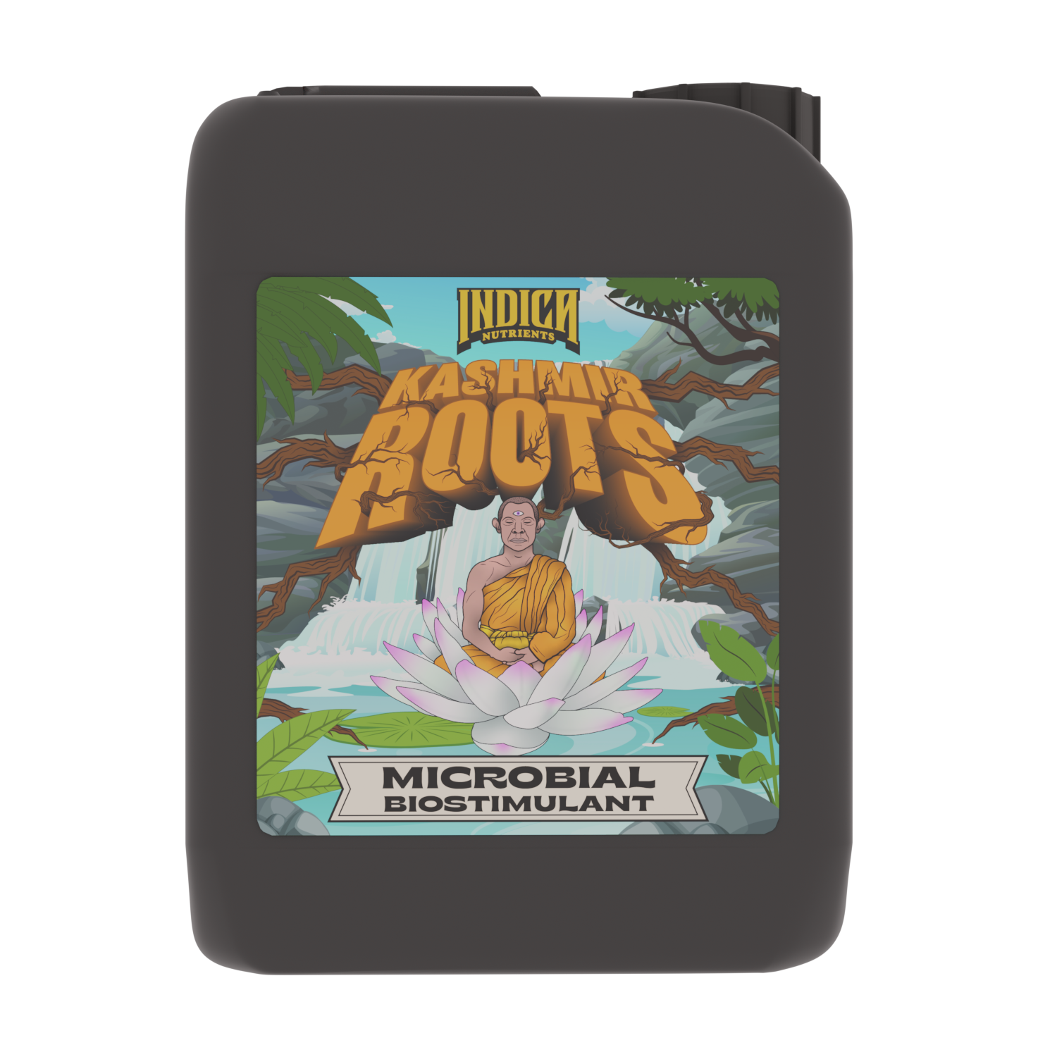 Indica Kashmir Roots