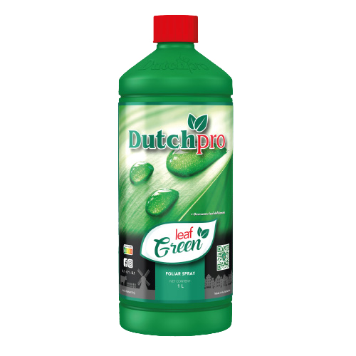 Dutchpro Leaf Green