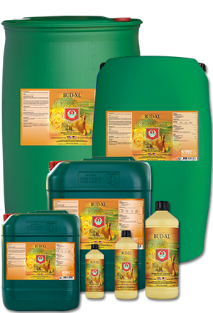 House & Garden Bud XL | Premium Flowering Stimulant