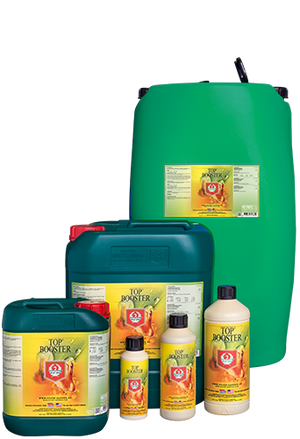 House & Garden Top Booster | PK 13-14 Bloom Stimulant