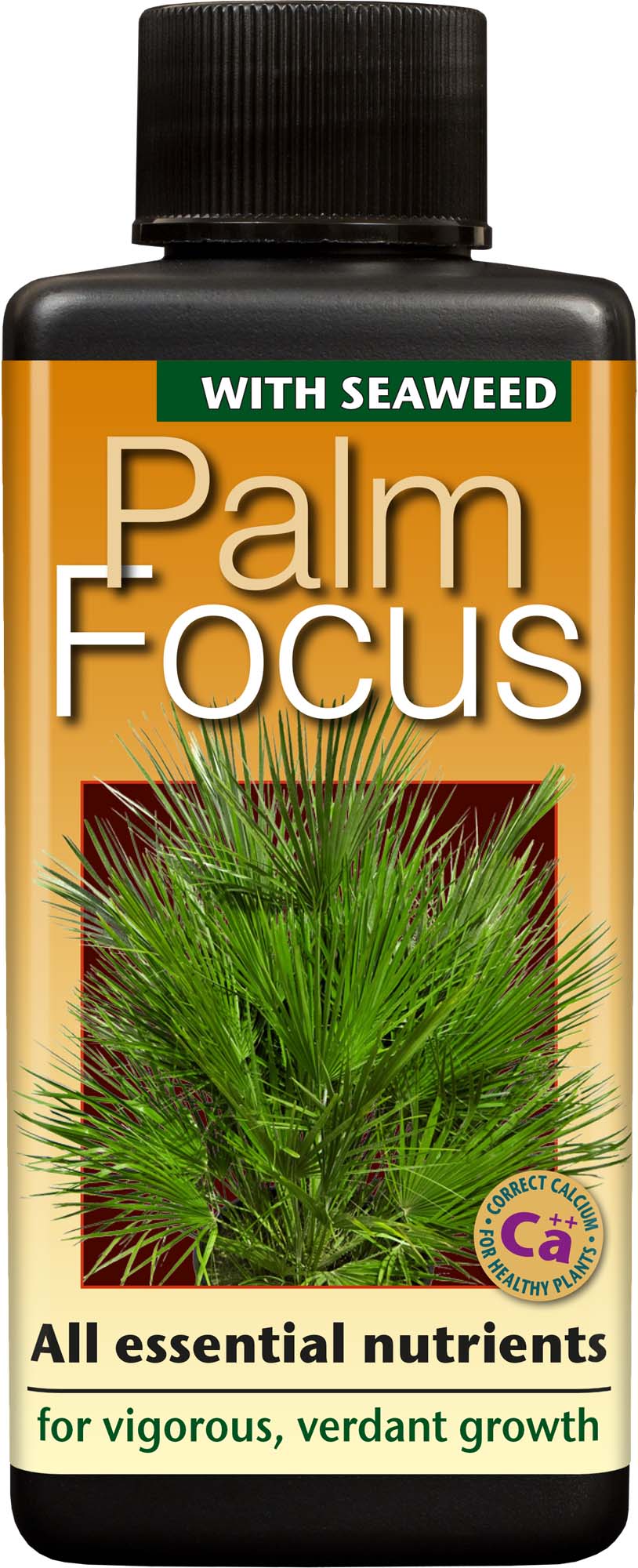 Growth Technology Palm Focus