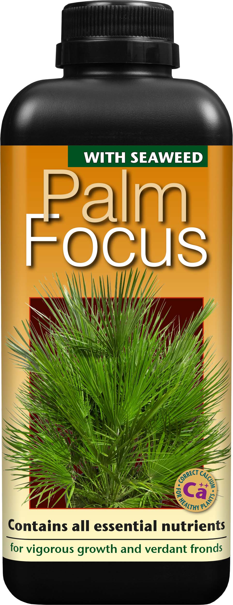 Growth Technology Palm Focus