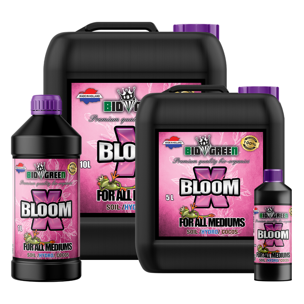 Biogreen X Bloom