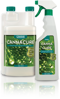 Cannacure