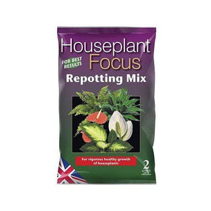 Growth Technology House Plant Focus Repotting Mix