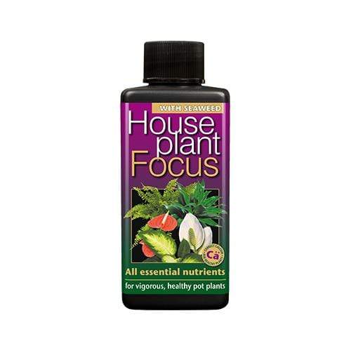 Growth Technology Houseplant Focus