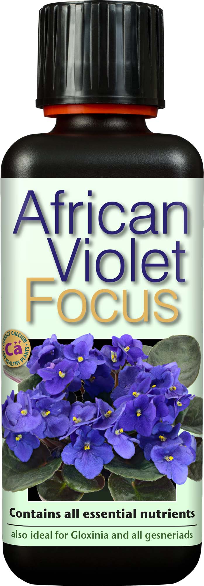 Growth Technology African Violet