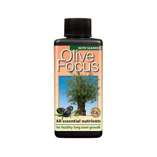 Growth Technology Olive Focus