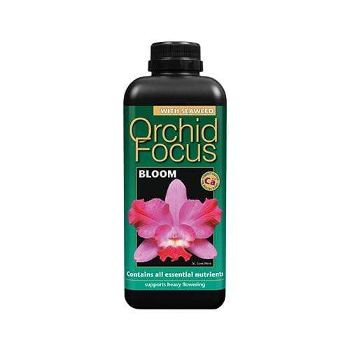 Growth Technology Orchid Focus Bloom