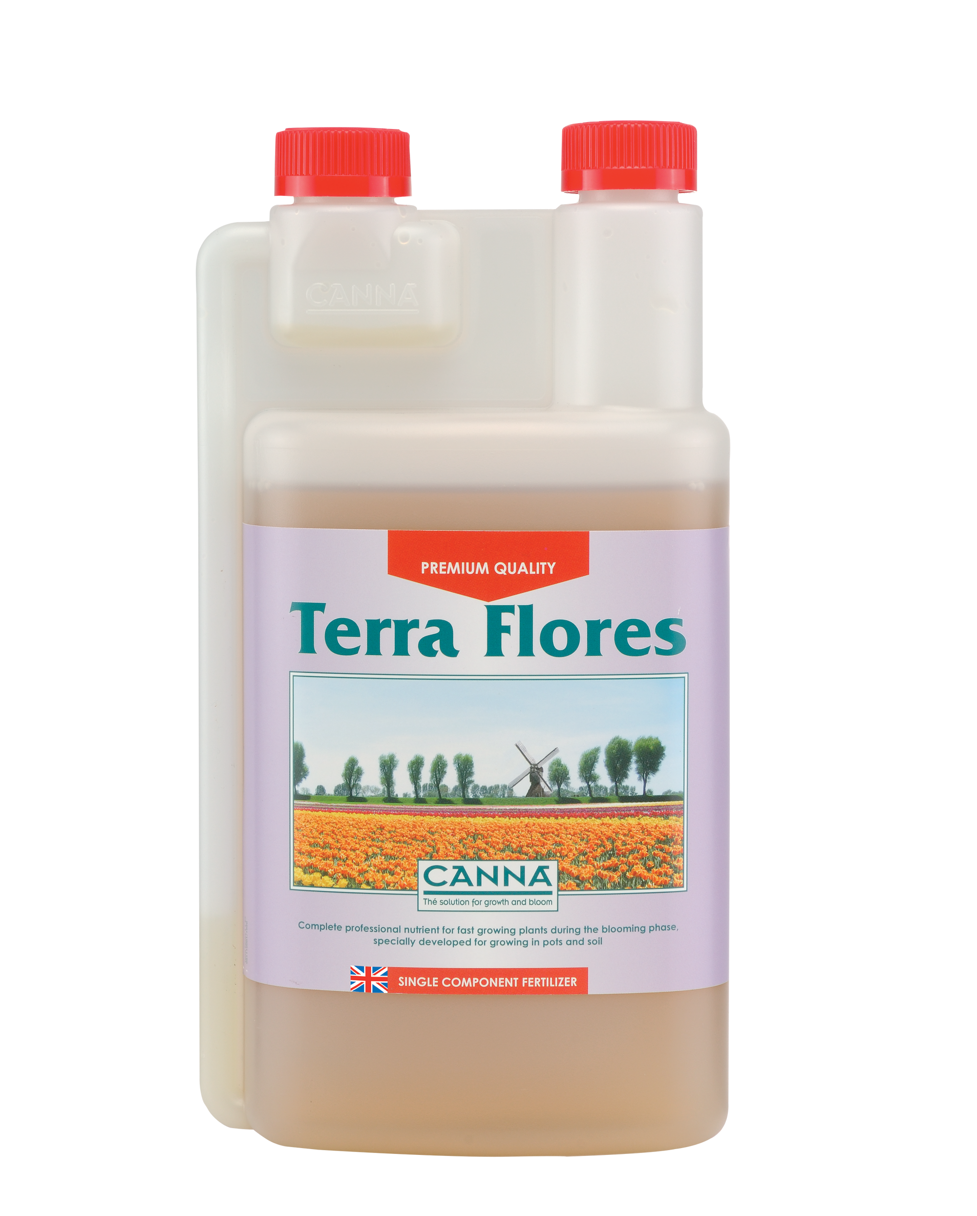 Canna Terra Flores